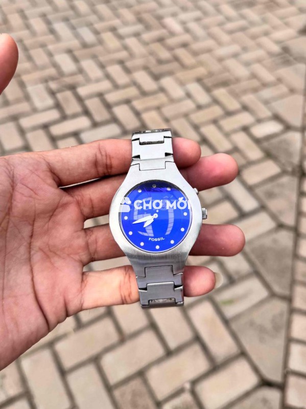 fossil bigtic