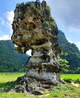 Cao Nguyên