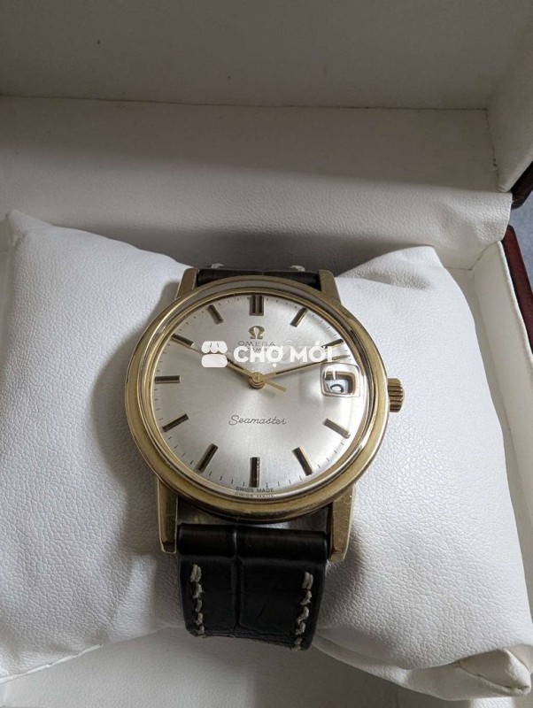 ĐH Omega Seamaster.