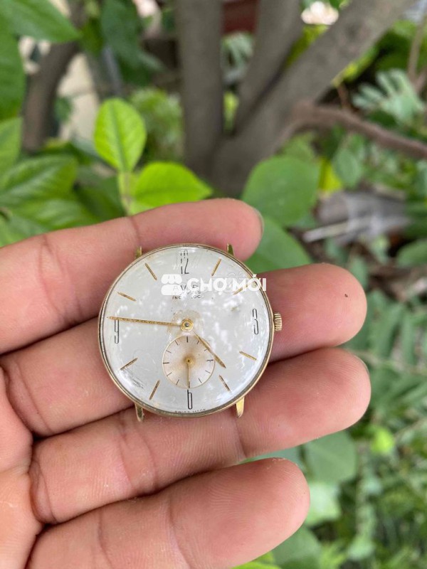 Đồng hồ AVI A The Classic vàng nam