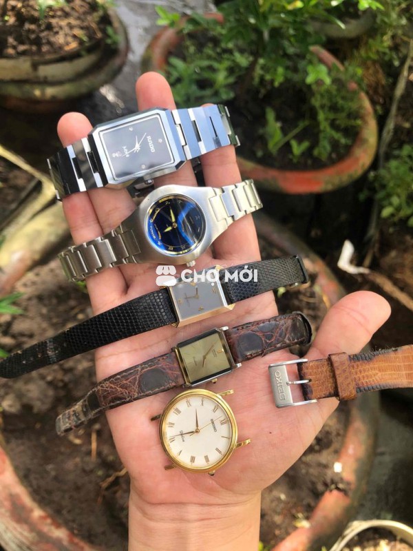 seiko , rado khóa zin