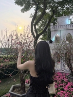Đồ Cutee Hàng New giá rẻ