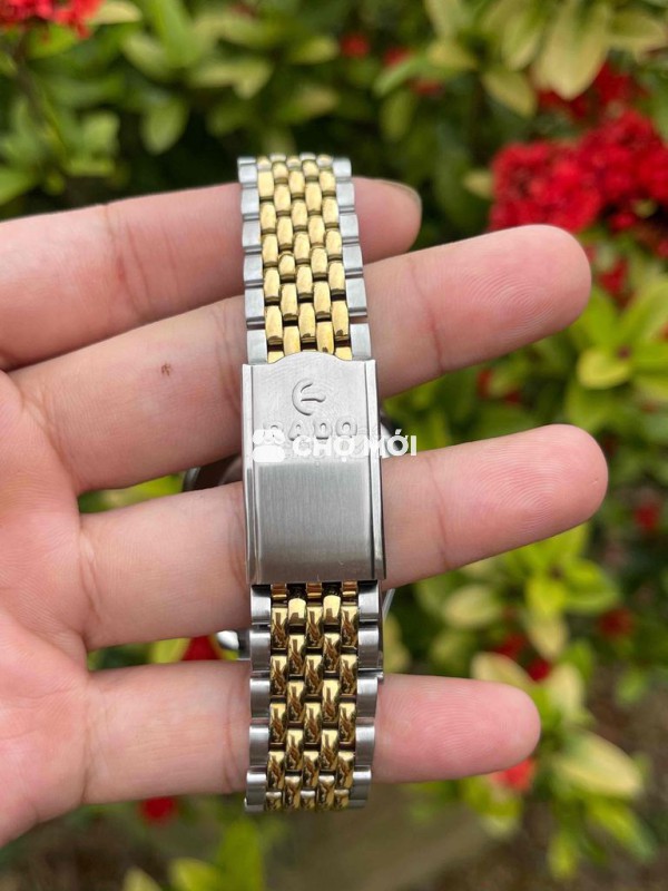 Đồng hồ Rado Golden Horse Nam