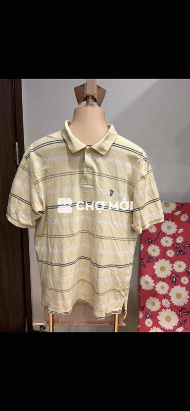 áo polo NII chính hãng