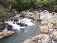 cửa hàng tã dán thành phát