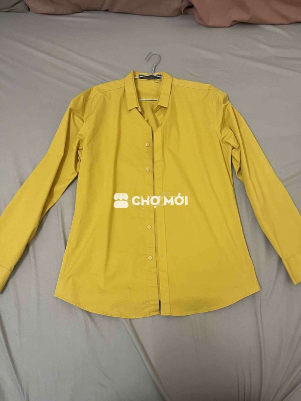 Áo sơ mi nam cotton vàng mù tạt