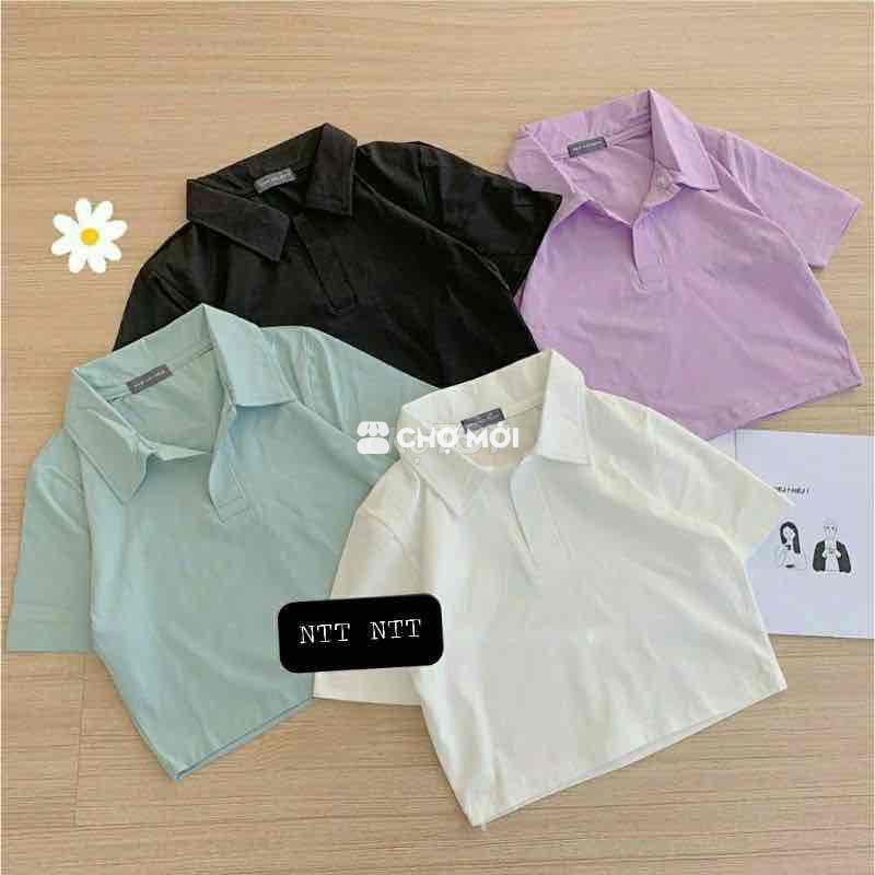 Áo polo croptop 1 size màu trắng chưa mặc mua 70k