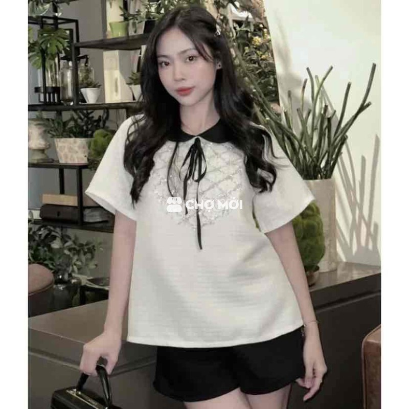 Set AGUJA áo phối lưới NEW