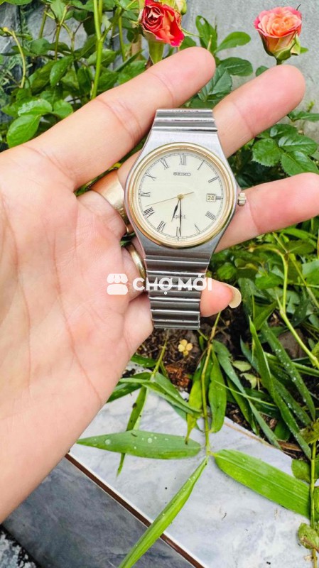 Đồng Hồ Nam SeiKo