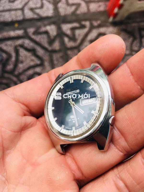 seiko 23