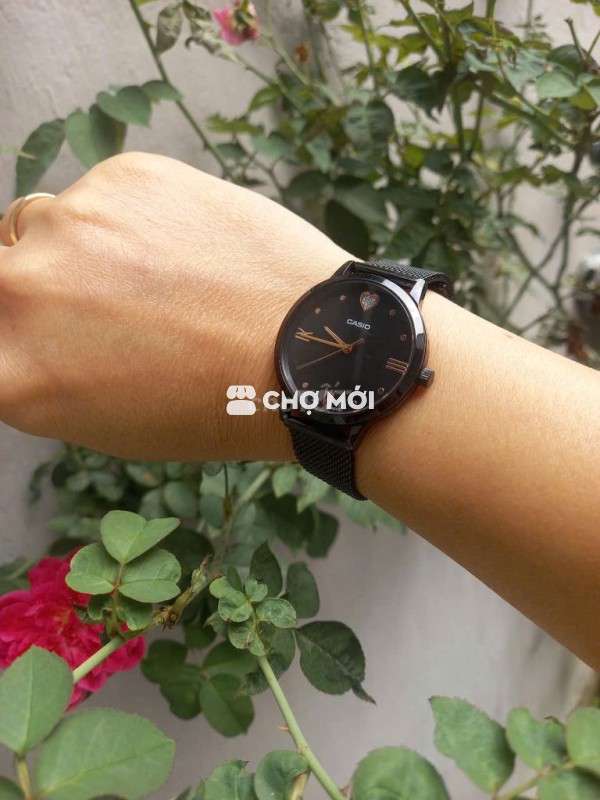 Pass DH casio nữ size 34