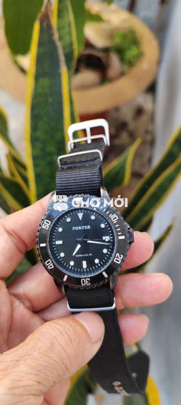 Đồng hồ nội địa Nhật Bản Forter niềng xoay