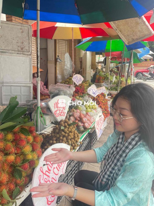 SET áo bà ba du lịch miền tây