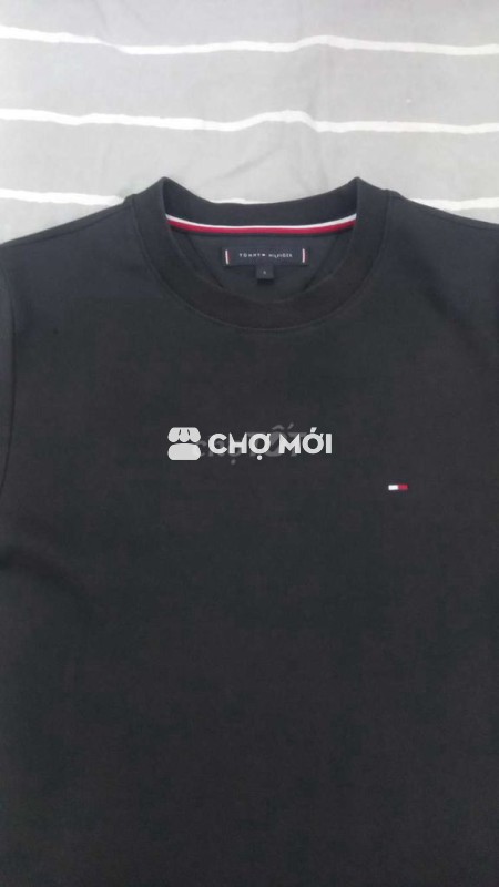 Áo tommy