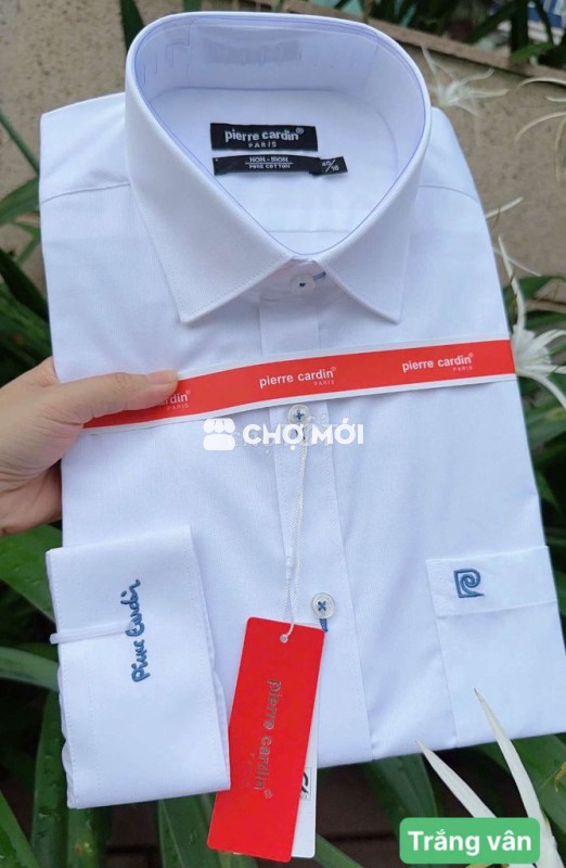 Áo Pierre Cardin dài tay nhiều mẫu.