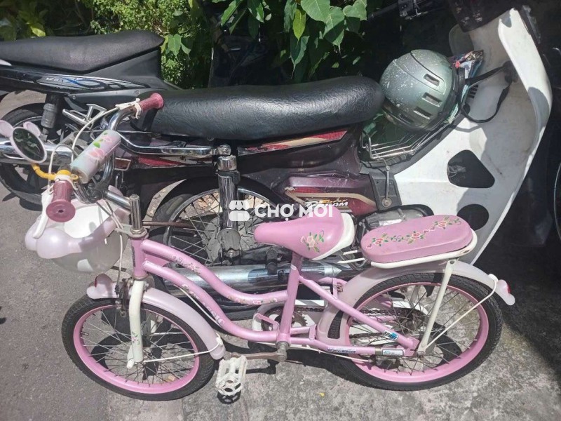 Xe dap be gai