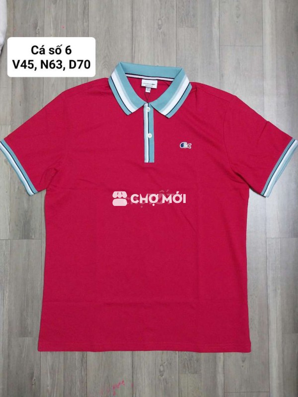 Polo cá số 6 logo thêu