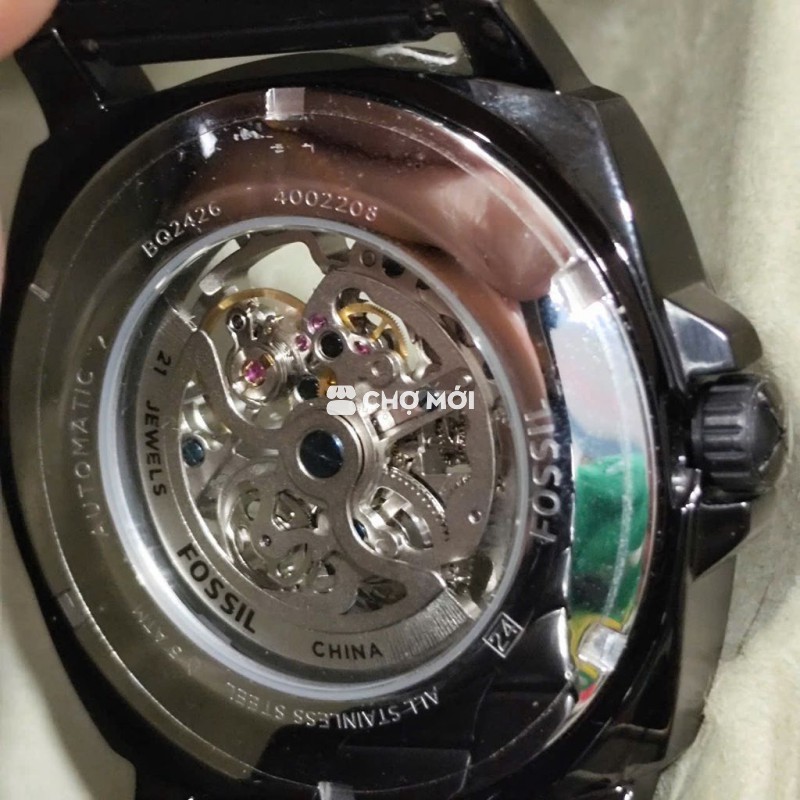 FOSSIL NAM