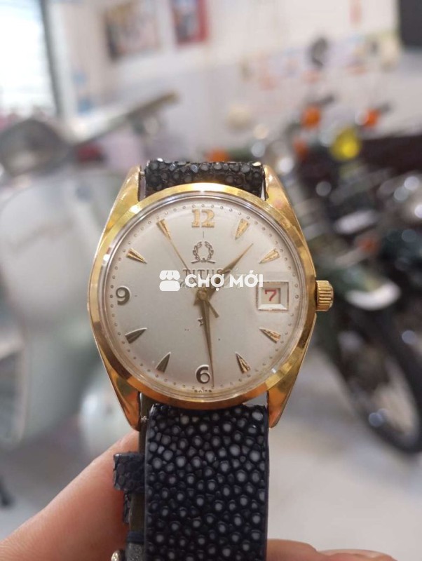 ĐỒNG HỒ TỰ ĐỘNG TITUS