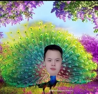 pnam