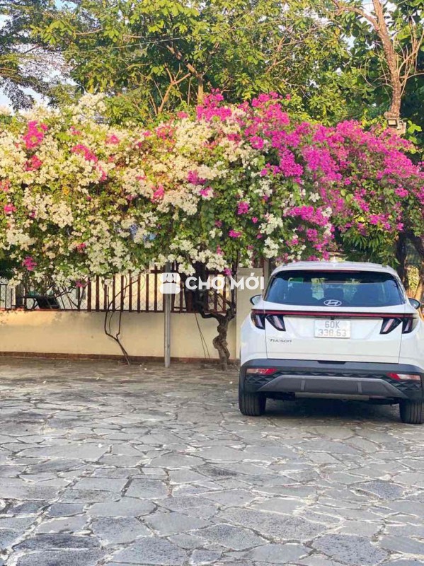 Hyundai Tucson 2023 2.0 AT Đặc biệt - 8870 km