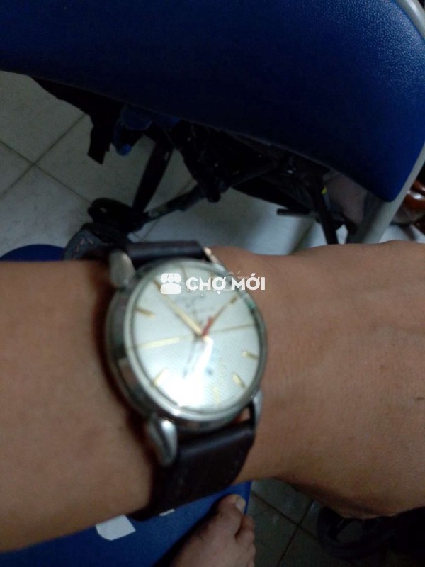 Tư động nhật, càng đùi ếch, size34