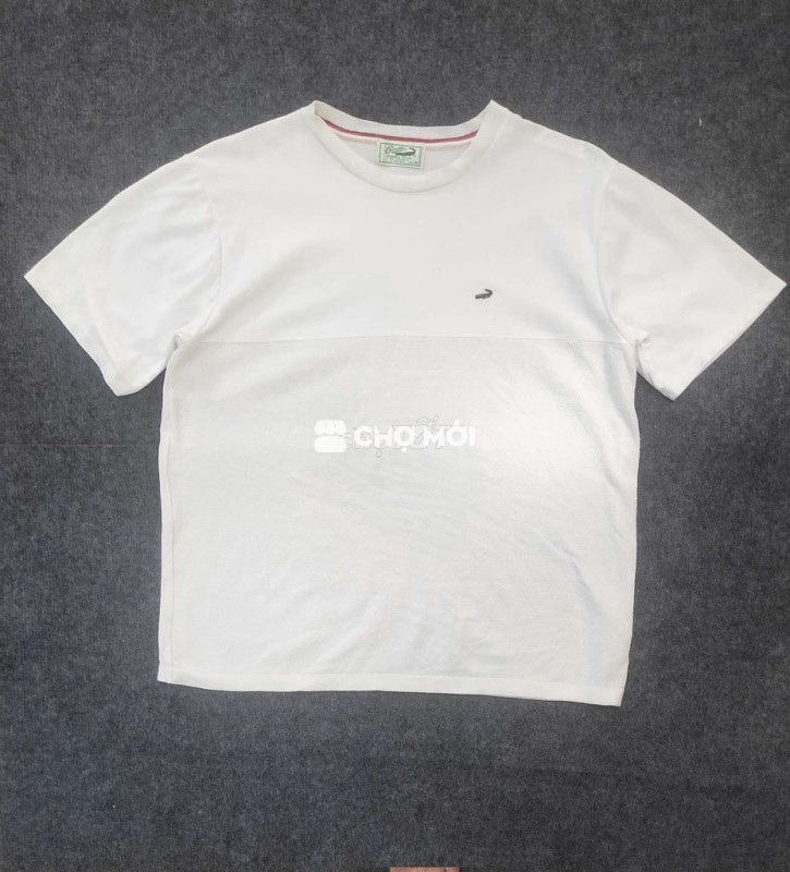 Thun Cordillera Polyster và Mongtoghi size L