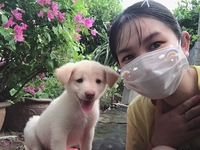 Trang Nhỏ