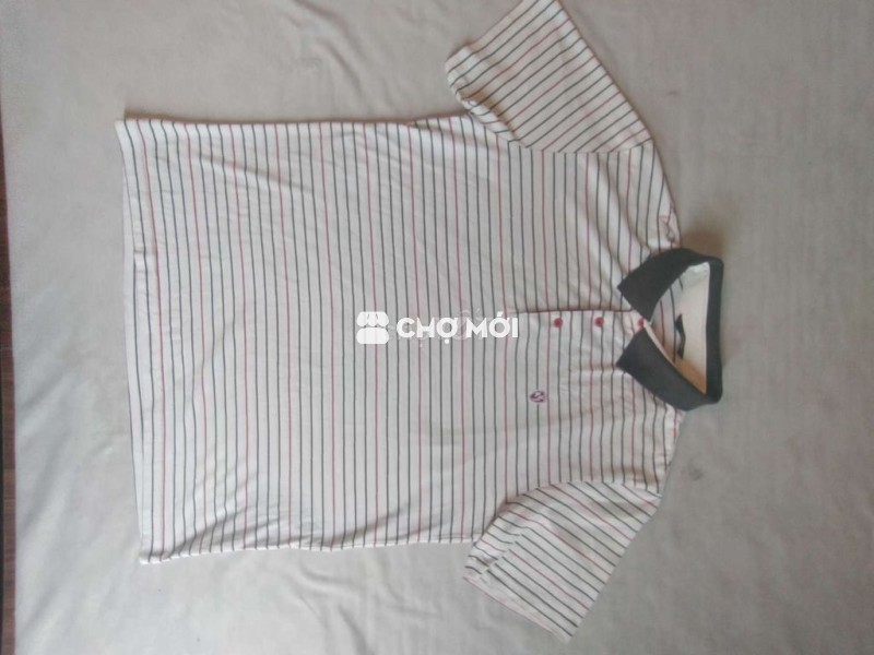 Polo Hàn xịn, kiểu dành cho golf