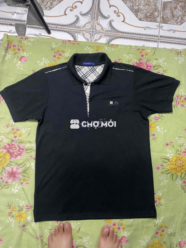 polo bbr M