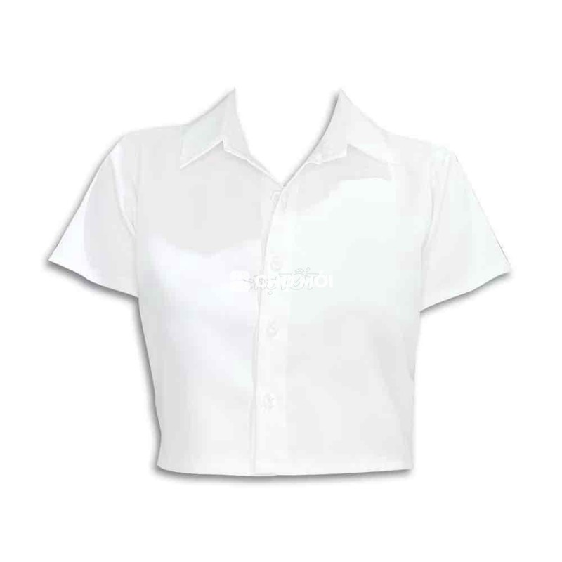 Áo sơ mi croptop trắng tay ngắn nữ