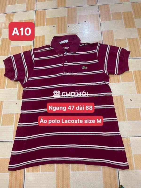 Áo polo Lacoste size M