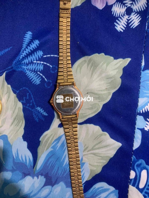 đồng hồ casio