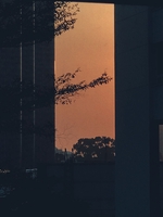 Nguyên