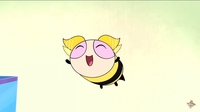 Meo Meoz