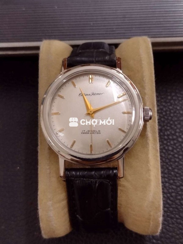Citizen Homer Para Water