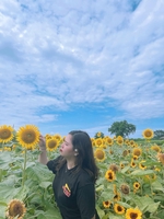 Thu Hằng