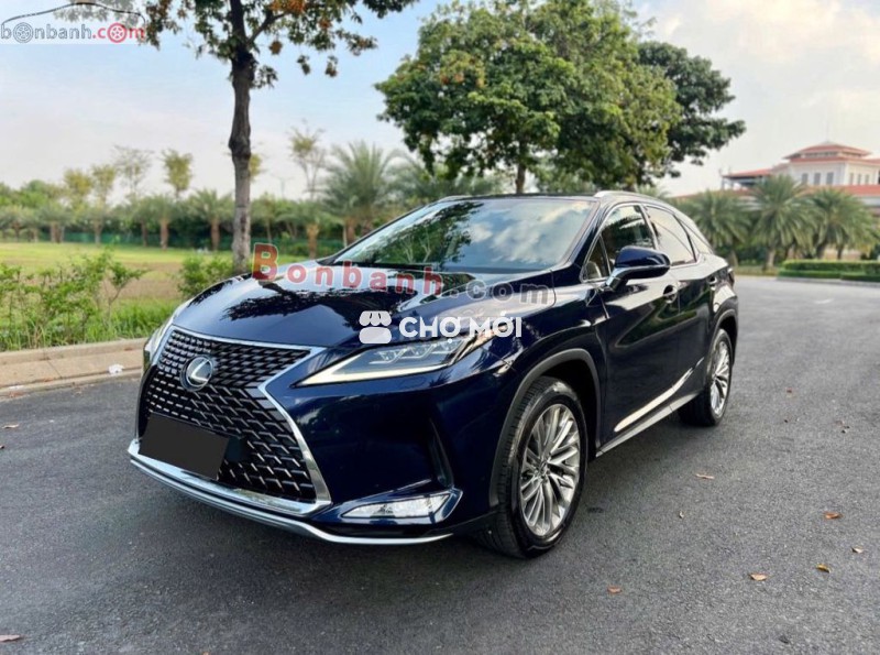 Xe Lexus RX 300 2020