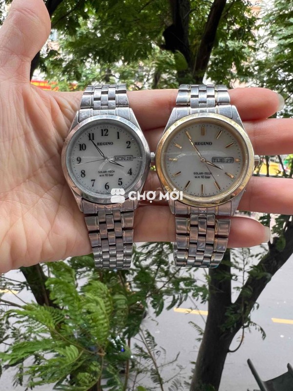 cặp reguno solar nhật