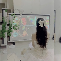 Trinh Trinh