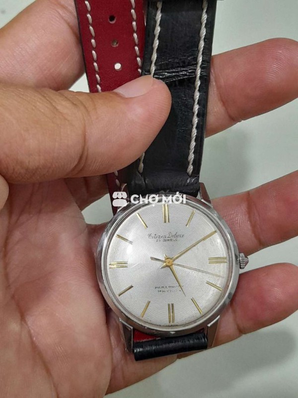 Cơ cót cổ citizen