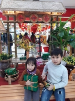 Bảo Bảo