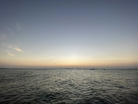 Lê Hoàng Long