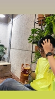Nguyễn Anh Duy