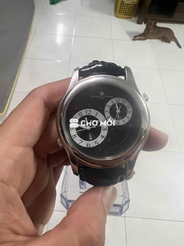 Đồng Hồ Hiệu Xịn Nhật Chính Hãng Zin all