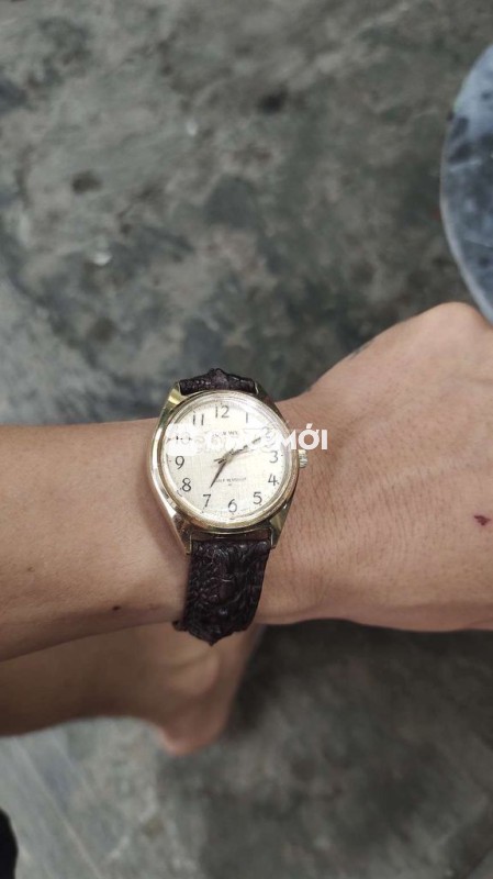 đồng hồ cơ cót mạ vàng