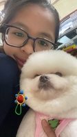 Trần Yến Nhi