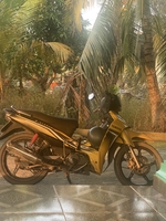 tri dul