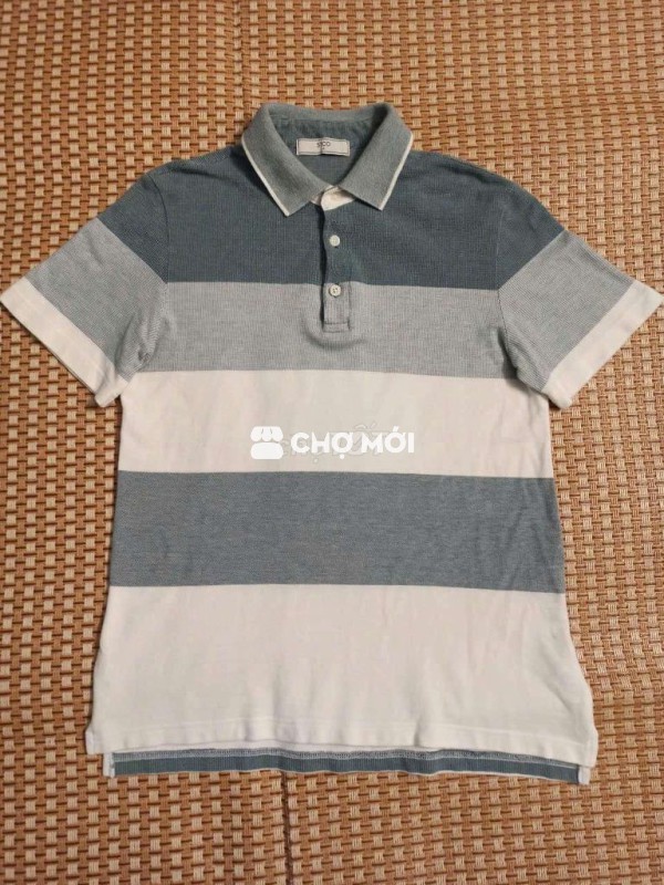 Polo Hàn chính hãng