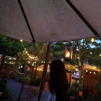 Ngân Hồng